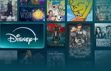 Disney Plus banner