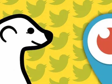 iCulture vergelijkt: Meerkat versus Periscope