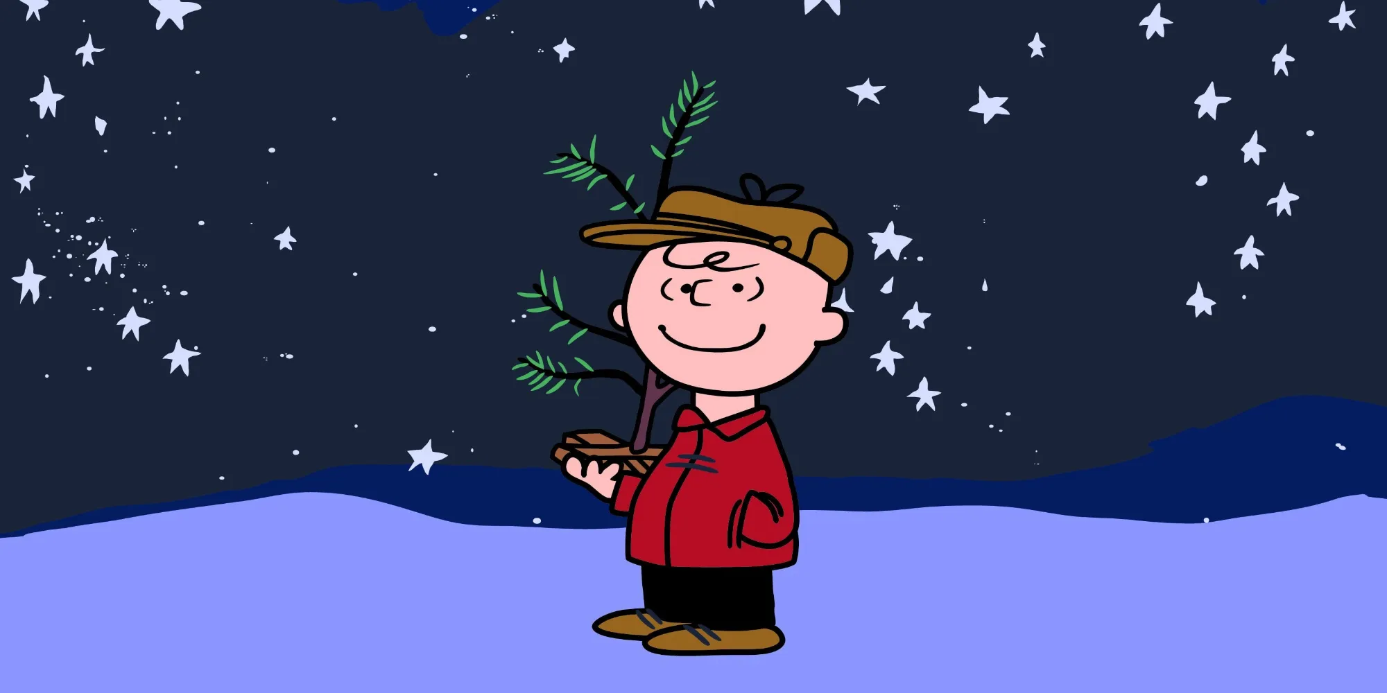 Peanuts Charlie Brown