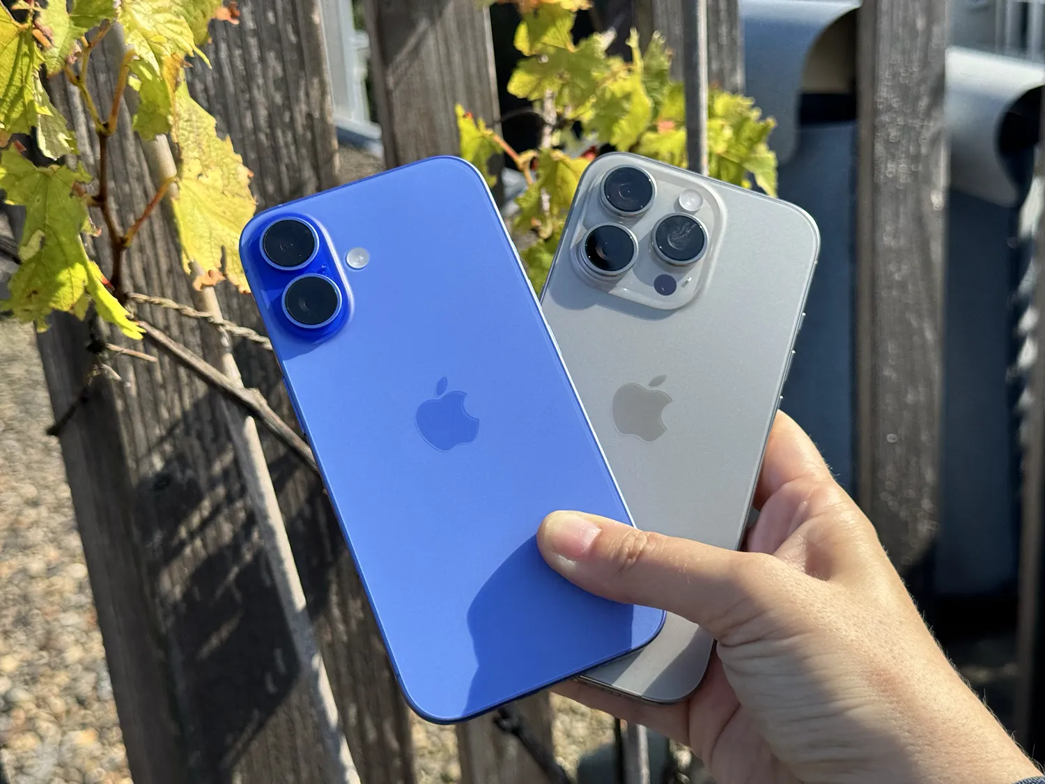 iPhone 16 en iPhone 16 Pro review