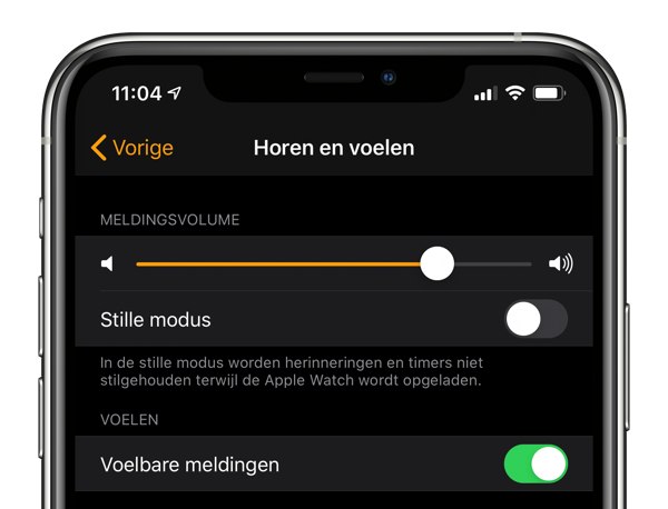 Set up hear and feel Apple Watch