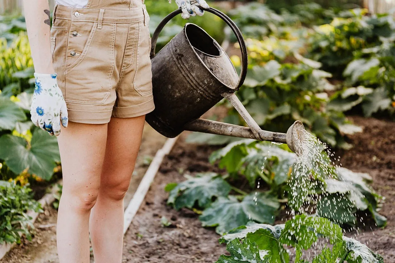 De beste apps voor tuinieren en planten verzorgen